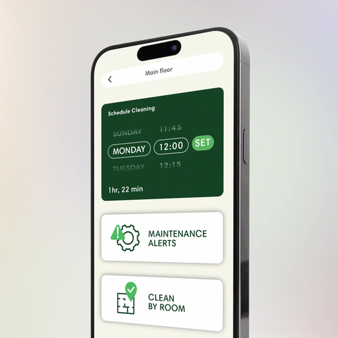 Limpeza personalizada